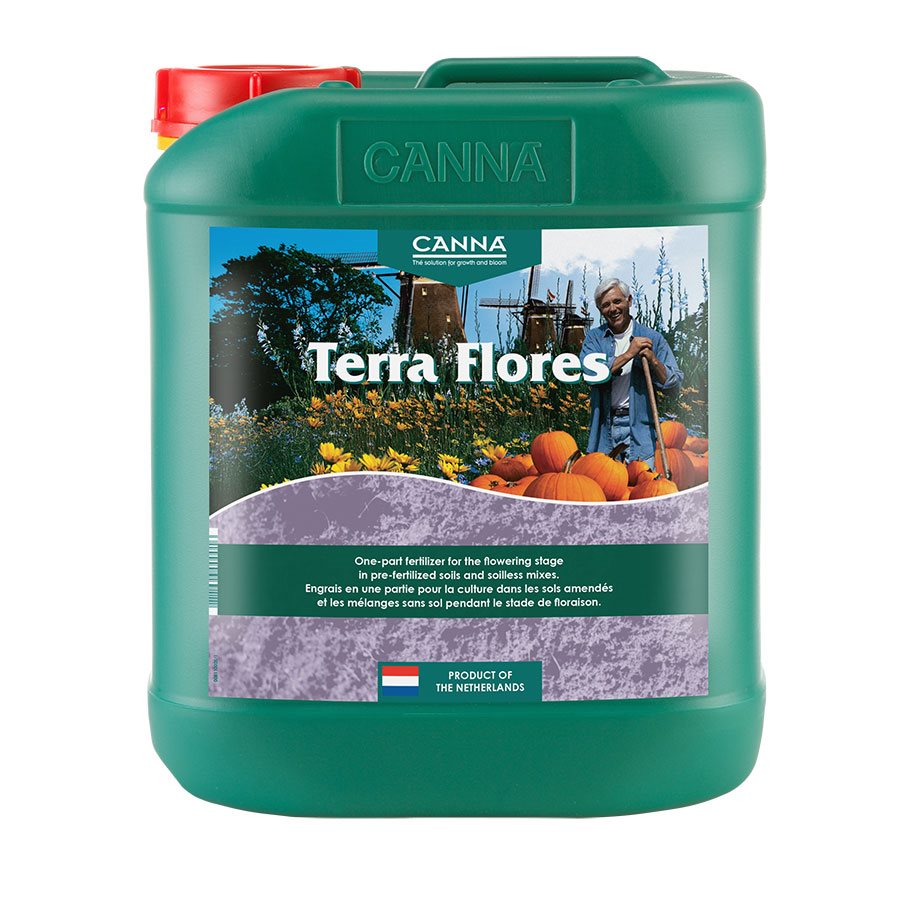 Canna Terra Flores